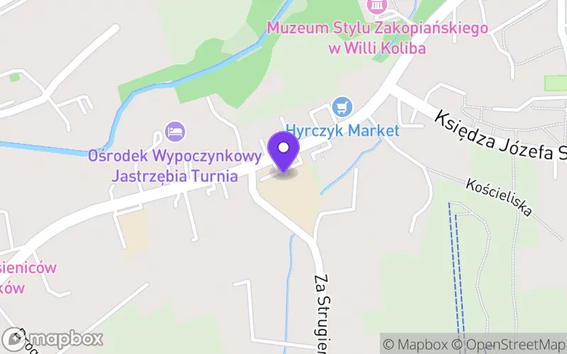 Lokalizacja: Państwowe Liceum Sztuk Plastycznych im. Antoniego Kenara w Zakopanem