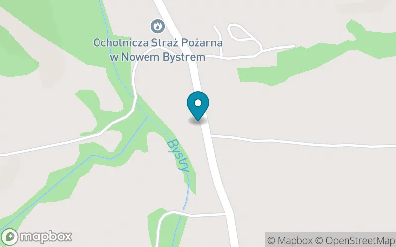 Lokalizacja: Szkoła Podstawowa im. Bronisława Czecha w Nowem Bystrem