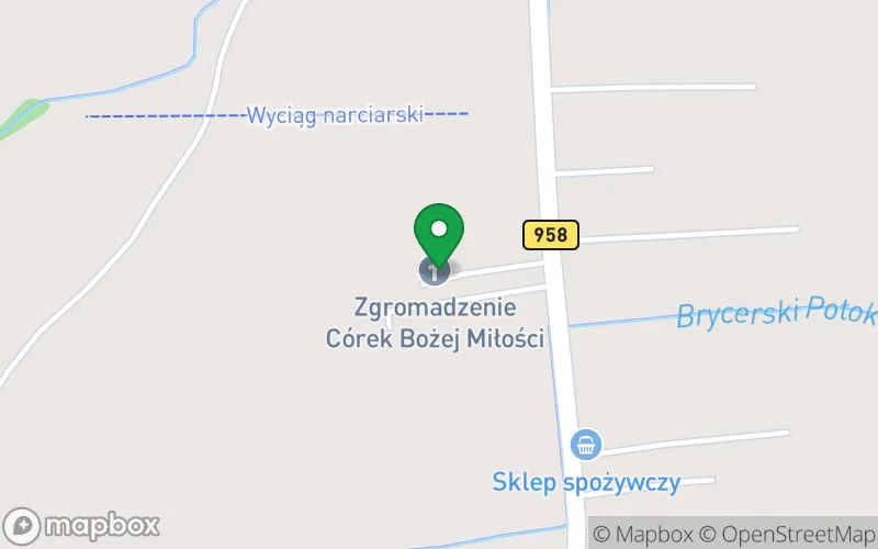Lokalizacja: Niepubliczne Przedszkole Zgromadzenia Córek Bożej Miłości im. Franciszki Lechner w Witowie