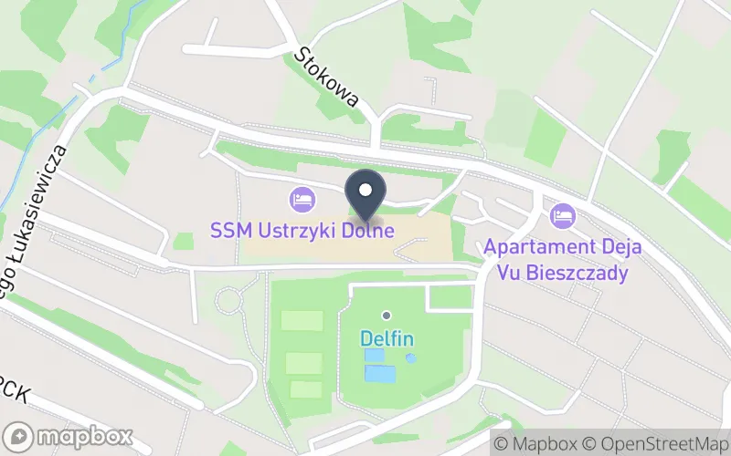 Lokalizacja: Bieszczadzki Zespół Placówek Szkolno-Wychowawczych w Ustrzykach Dolnych