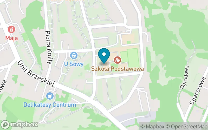 Lokalizacja: Szkoła Podstawowa im. Wincentego Pola w Lesku