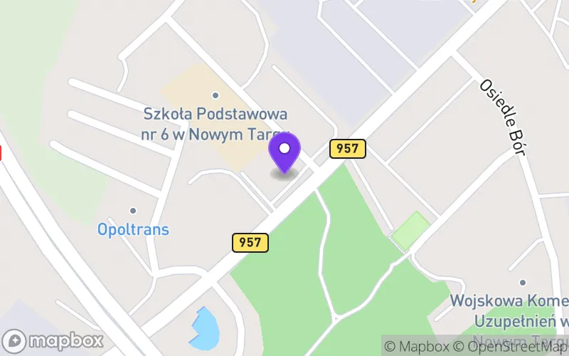 Lokalizacja: II Liceum Ogólnokształcące w Zespole Szkół Ogólnokształcących nr 2 im. Św. Jadwigi Królowej w Nowym Targu