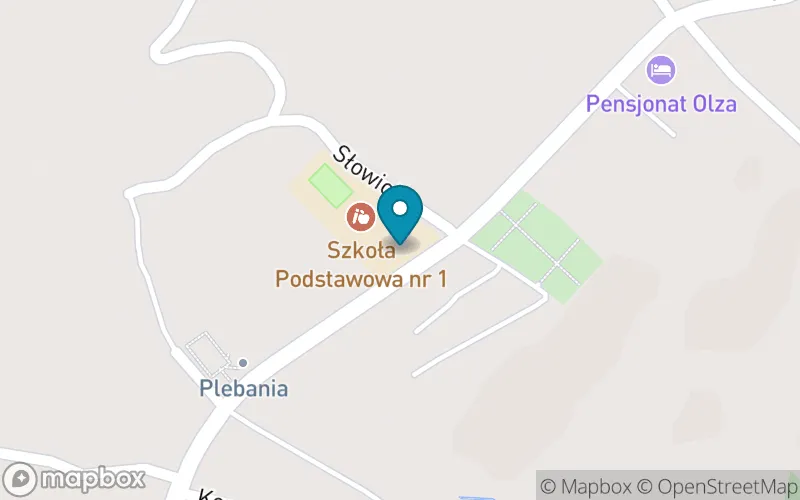 Lokalizacja: Szkoła Podstawowa nr 1 w Jaworzynce