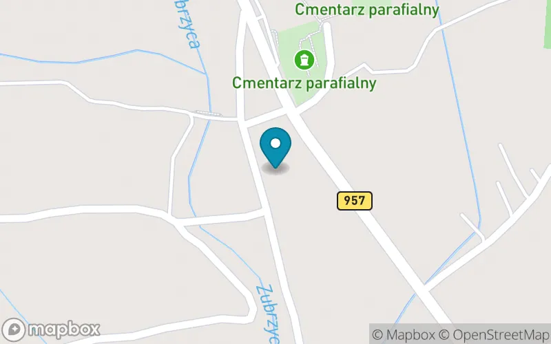 Lokalizacja: Szkoła Podstawowa nr 1 im. Juliusza Słowackiego w Zubrzycy Górnej