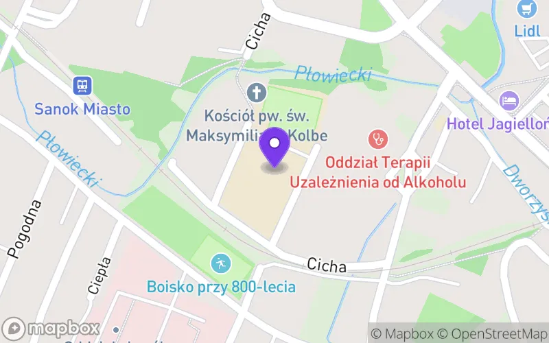 Lokalizacja: I Liceum Ogólnokształcące im. Komisji Edukacji Narodowej w Sanoku