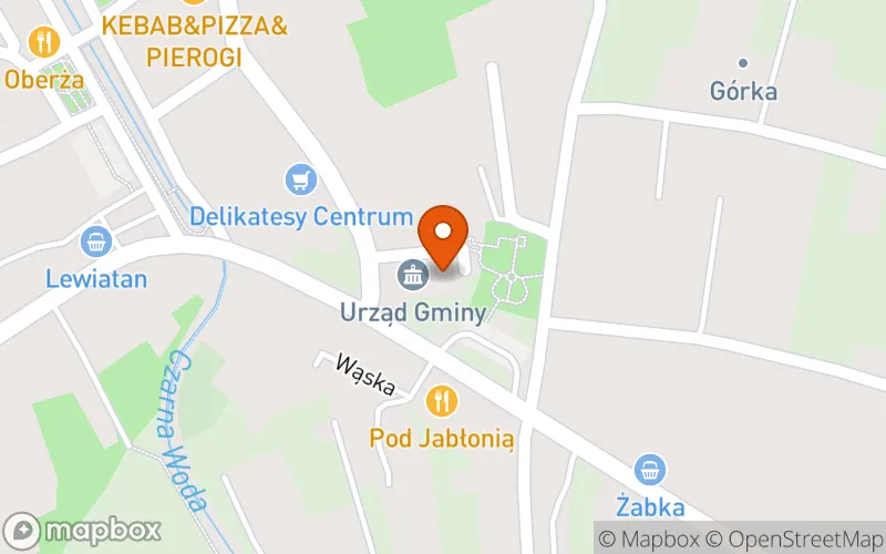 Lokalizacja: Samorządowy Żłobek w Łącku