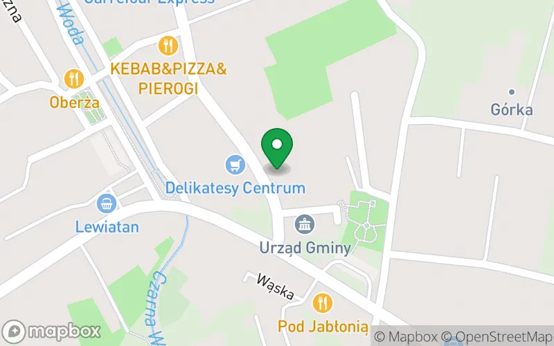Lokalizacja: Przedszkole Niepubliczne Promyczek