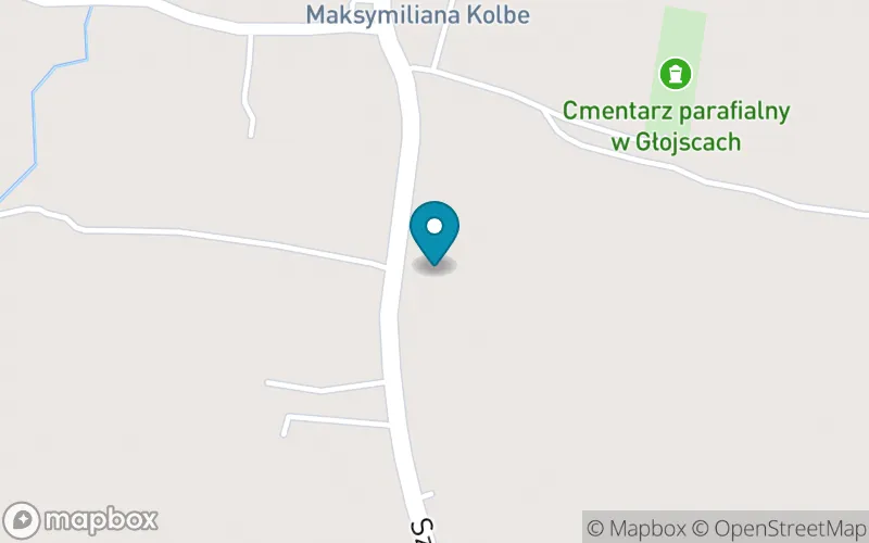 Lokalizacja: Szkoła Podstawowa im. Jana Pawła II w Głojscach