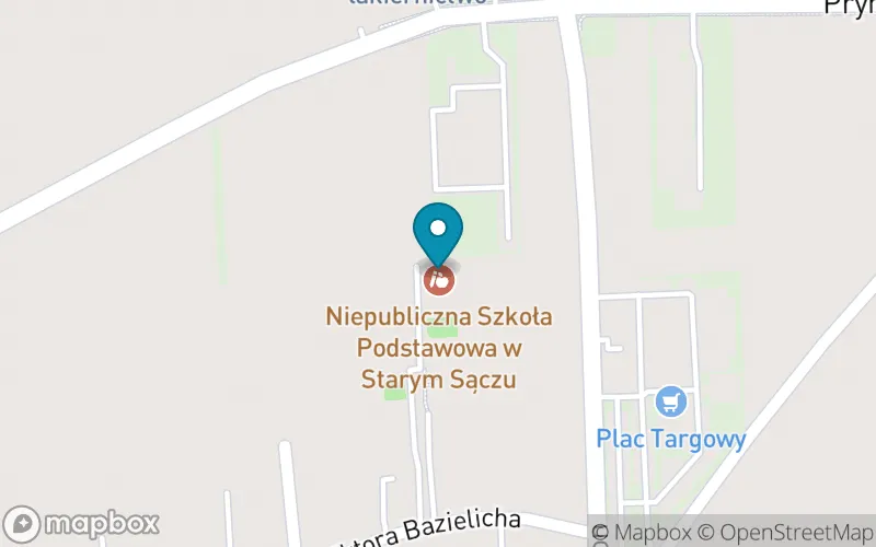 Lokalizacja: Niepubliczna Szkoła Podstawowa w Starym Sączu
