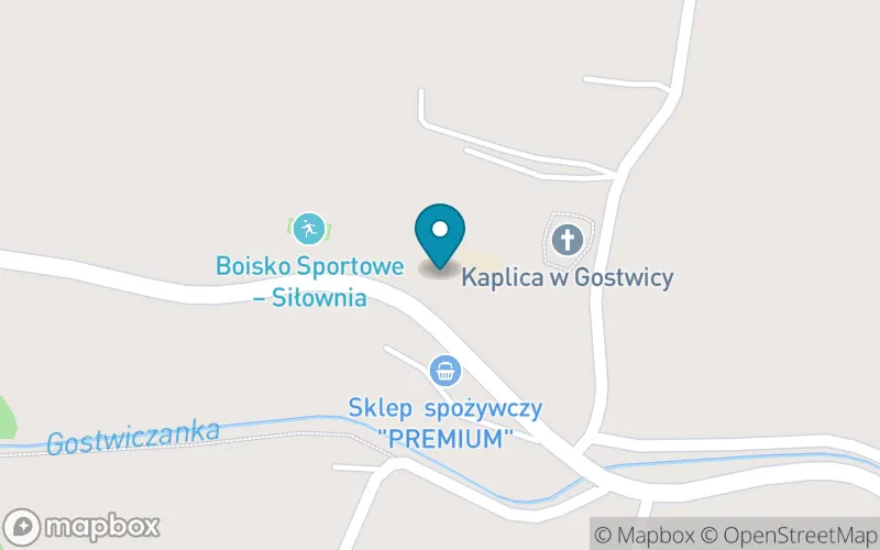 Lokalizacja: Szkoła Podstawowa im. Płk. Narcyza Wiatra w Gostwicy