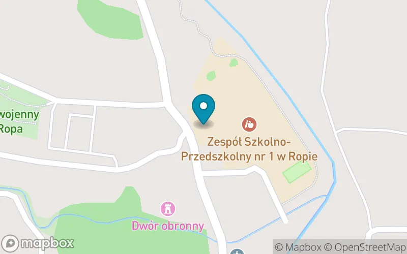 Lokalizacja: Szkoła Podstawowa nr 1 im. Karpackiego Oddziału Straży Granicznej