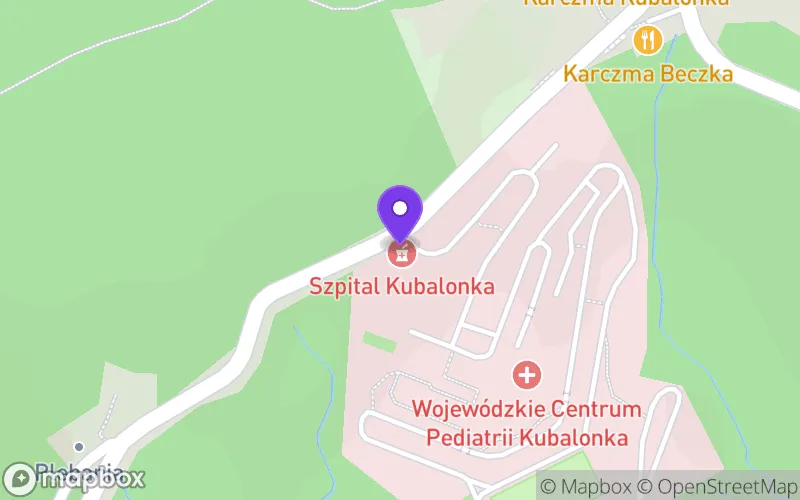 Lokalizacja: Liceum Ogólnokształcące Specjalne nr I w Istebnej