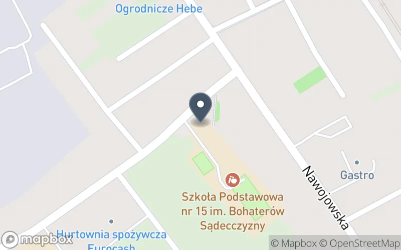 Lokalizacja: Zespół Szkolno-Przedszkolny nr 9 w Nowym Sączu