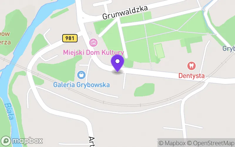 Lokalizacja: Liceum Ogólnokształcące im. Artura Grottgera w Grybowie