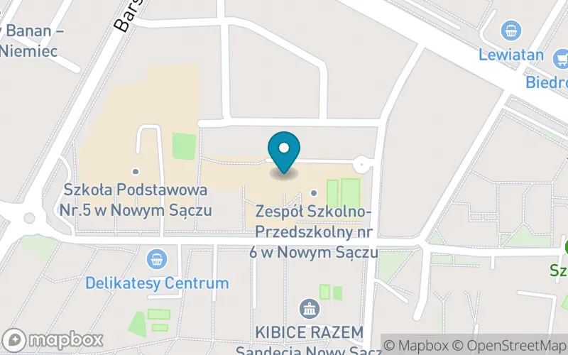 Lokalizacja: Szkoła Podstawowa nr 18 im. Karola Szymanowskiego w Nowym Sączu