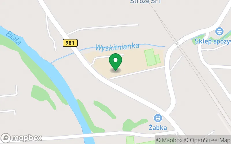 Lokalizacja: Przedszkole Samorządowe w Stróżach