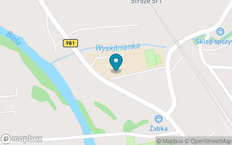 Lokalizacja: Szkoła Podstawowa im. B. Chrobrego w Stróżach