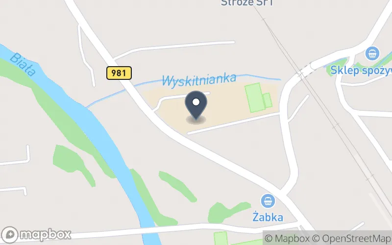 Lokalizacja: Zespół Szkolno-Przedszkolny w Stróżach