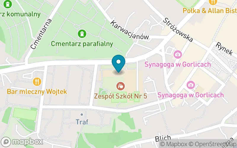 Lokalizacja: Szkoła Podstawowa nr 5 w Gorlicach