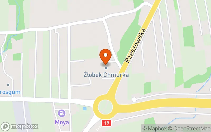 Lokalizacja: Żłobek "Chmurka"