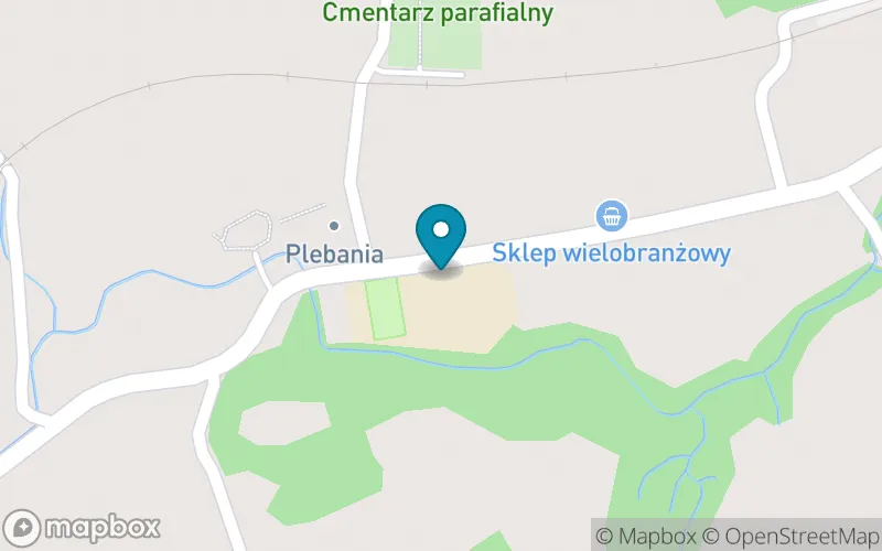 Lokalizacja: Szkoła Podstawowa im. Bł. Ks. Jana Balickiego w Polnej