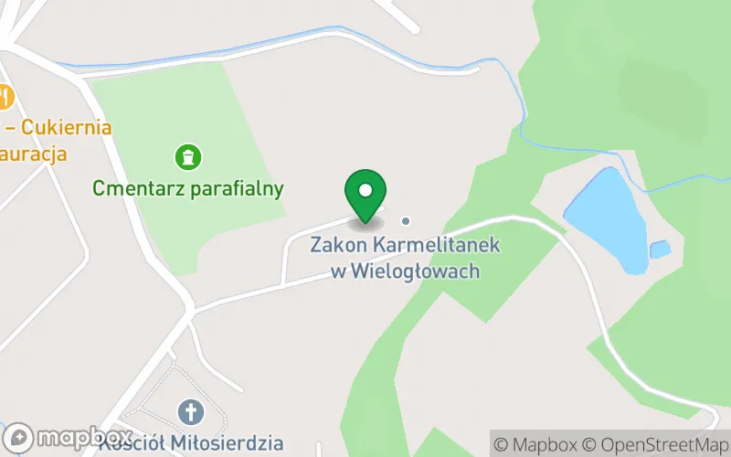 Lokalizacja: Niepubliczne Przedszkole Dzieciątka Jezus