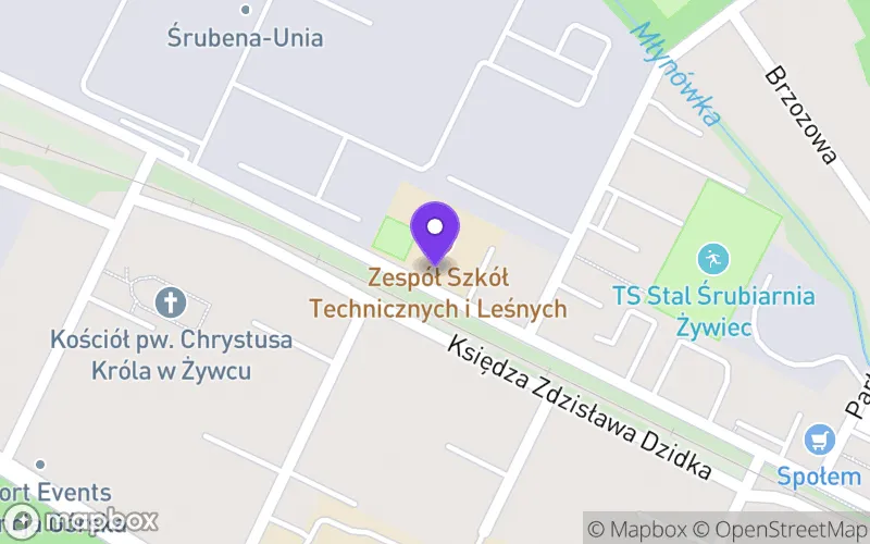 Lokalizacja: Technikum nr 4 w Żywcu