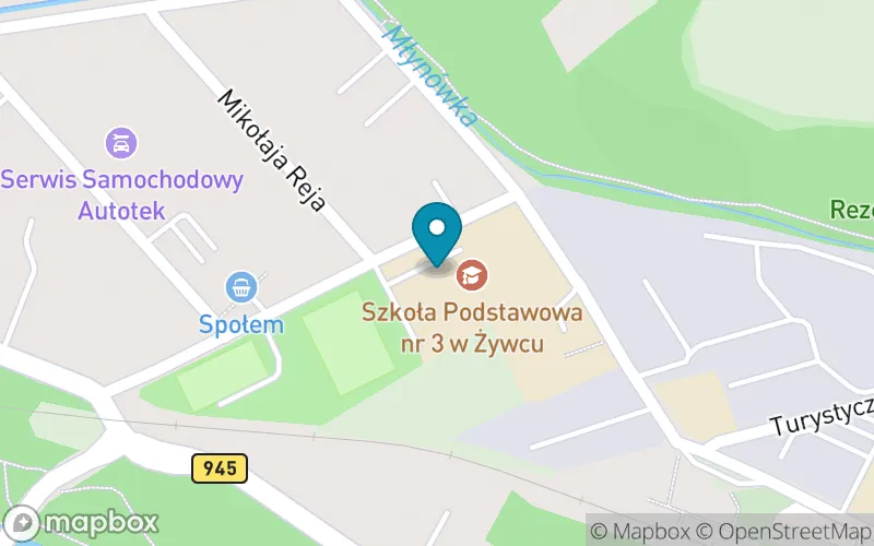 Lokalizacja: Szkoła Podstawowa nr 3 im. Adama Mickiewicza w Żywcu