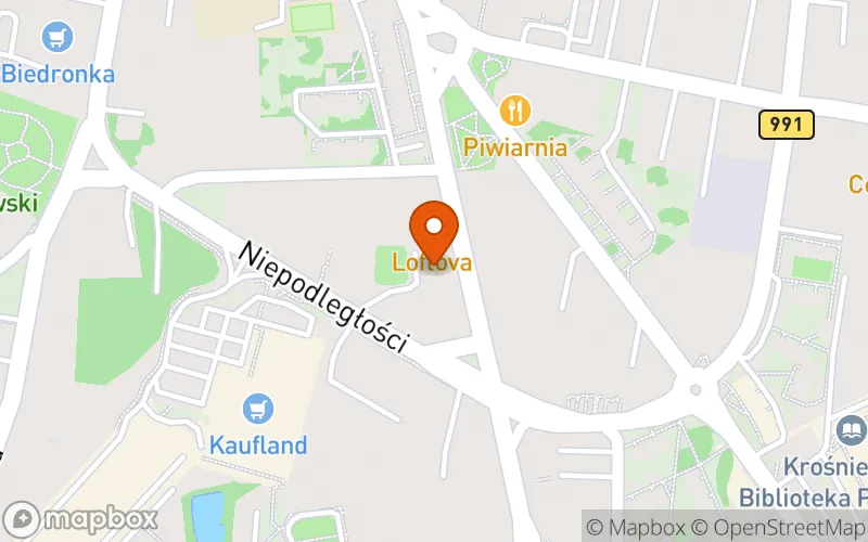 Lokalizacja: Niepubliczny Żłobek Guziczek