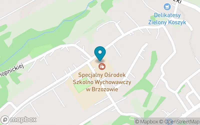 Lokalizacja: Szkoła Podstawowa nr 2 Specjalna w Brzozowie przy Specjalnym Ośrodku Szkolno-Wychowawczym