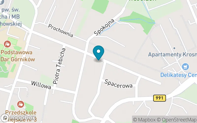 Lokalizacja: Prywatna Szkoła Muzyczna I Stopnia Pro Musica w Krośnie