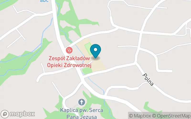 Lokalizacja: Szkoła Podstawowa im. Jana Pawła II w Rychwałdzie