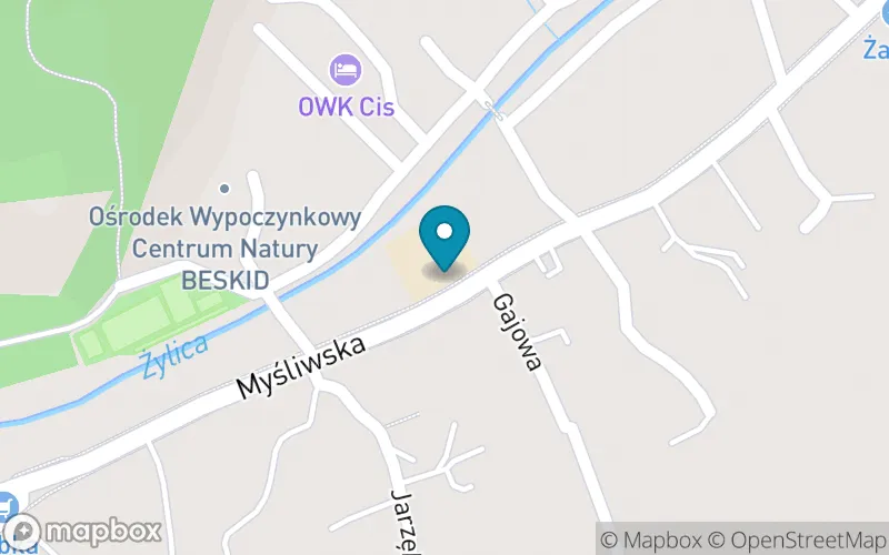 Lokalizacja: Szkoła Podstawowa nr 2 im. Królowej Jadwigi w Szczyrku