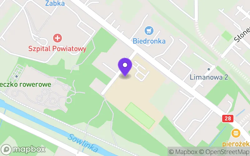 Lokalizacja: I Liceum Ogólnokształcące im. Władysława Orkana w Limanowej