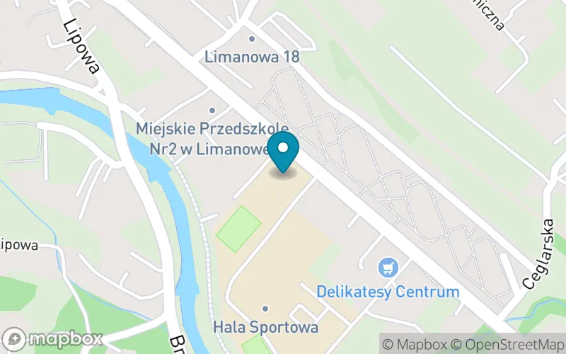 Lokalizacja: Szkoła Podstawowa nr 2 im. Tadeusza Kościuszki w Limanowej