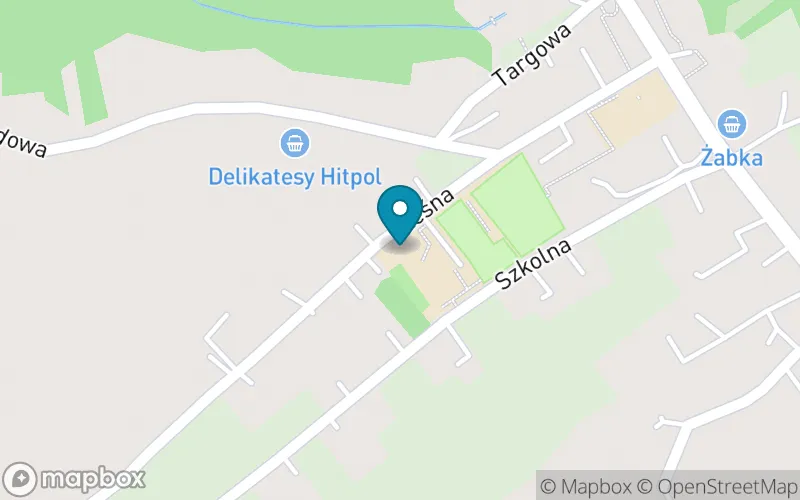 Lokalizacja: Szkoła Podstawowa im. Bronisława Wanata w Moszczenicy
