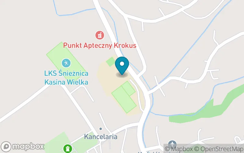 Lokalizacja: Szkoła Podstawowa nr 1 im. Marii Skłodowskiej - Curie w Kasinie Wielkiej