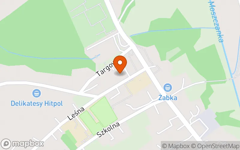 Lokalizacja: Gminny Żłobek w Moszczenicy