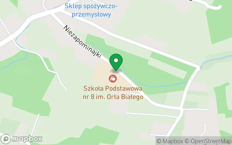 Lokalizacja: Przedszkole nr 13 w Żywcu