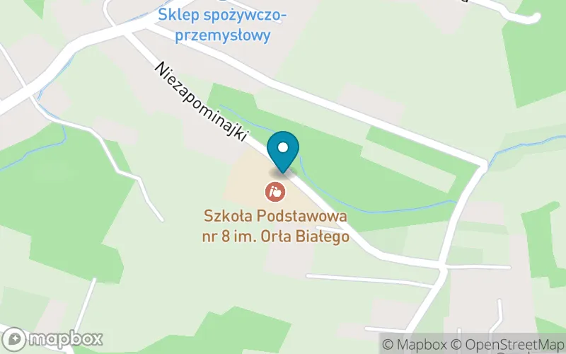 Lokalizacja: Szkoła Podstawowa nr 8 w Żywcu