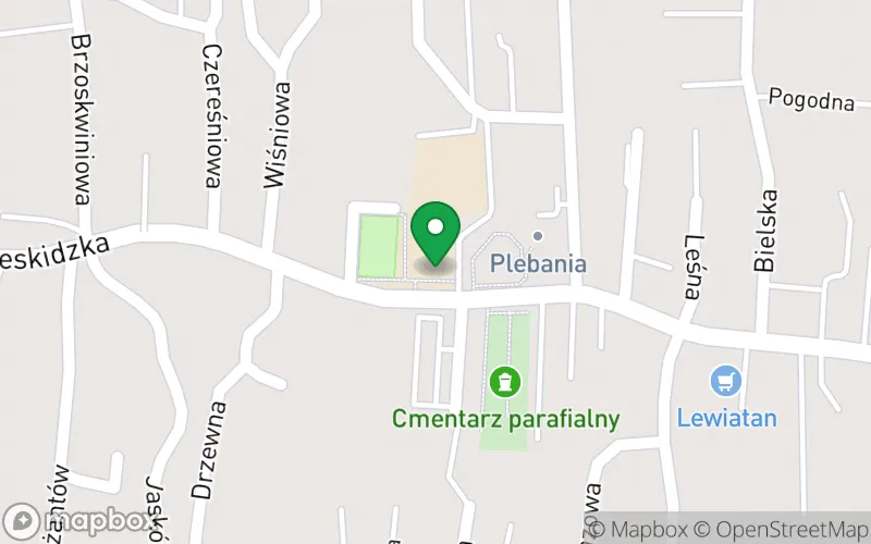 Lokalizacja: Oddział Przedszkolny w Rybarzowicach