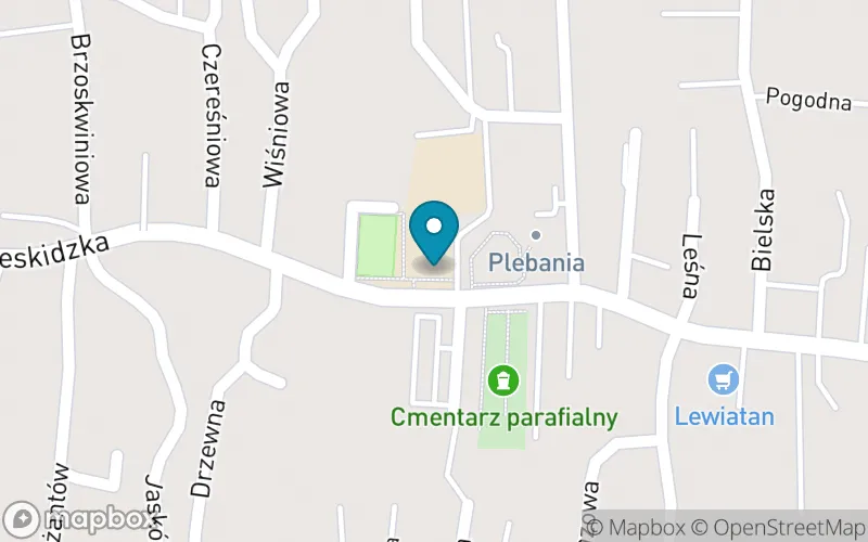Lokalizacja: Szkoła Podstawowa im. B. Chrobrego w Rybarzowicach