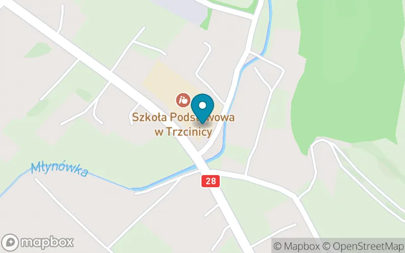 Lokalizacja: Szkoła Podstawowa im. Św. Jana Kantego w Trzcinicy