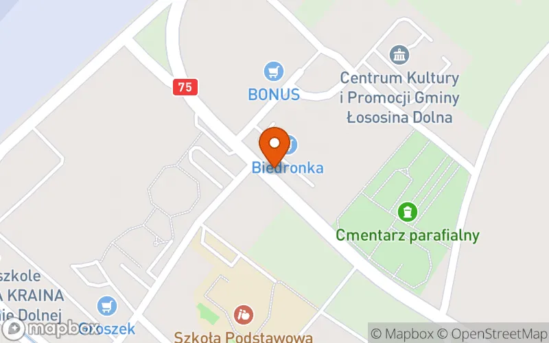 Lokalizacja: Niepubliczny Żłobek "Bajkowa Kraina"