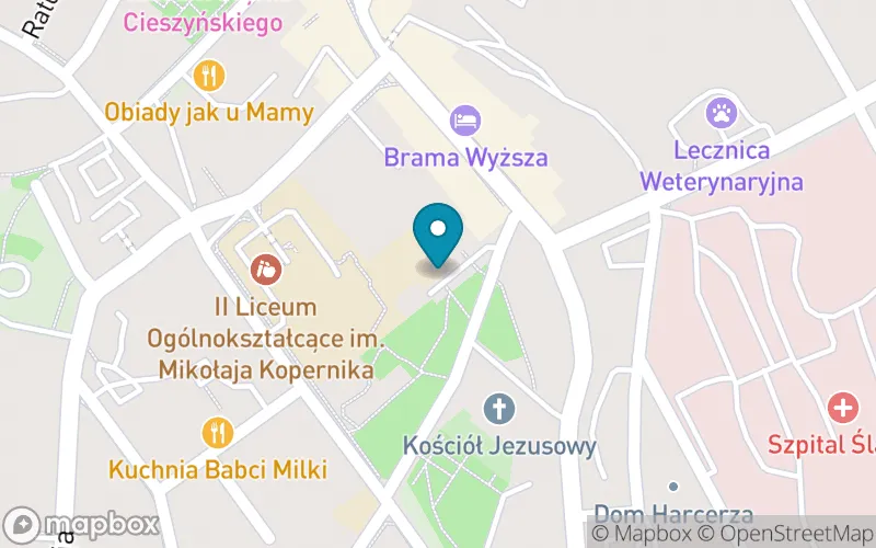 Lokalizacja: Szkoła Podstawowa Towarzystwa Ewangelickiego