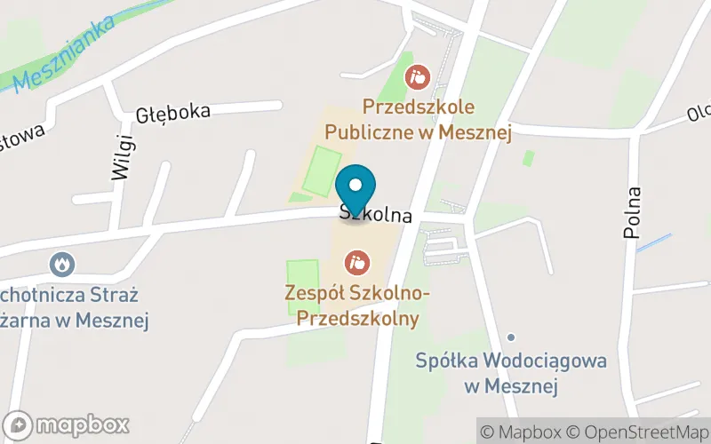Lokalizacja: Szkoła Podstawowa im. Jana Pawła II w Mesznej