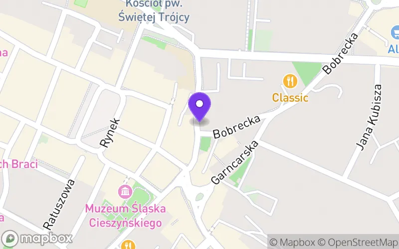 Lokalizacja: Niepubliczne Uniwersyteckie Liceum Sztuk Plastycznych w Cieszynie Zakładu Doskonalenia Zawodowego w Katowicach