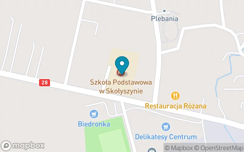 Lokalizacja: Szkoła Podstawowa w Zespole Szkół Publicznych w Skołyszynie