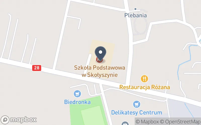 Lokalizacja: Zespół Szkół Publicznych w Skołyszynie