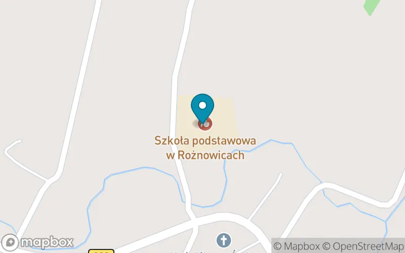 Lokalizacja: Szkoła Podstawowa im. Tadeusza Kościuszki w Rożnowicach